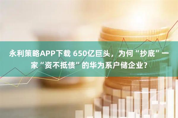 永利策略APP下载 650亿巨头,为何“抄底”一家“资不抵债”的华为系户储企业?