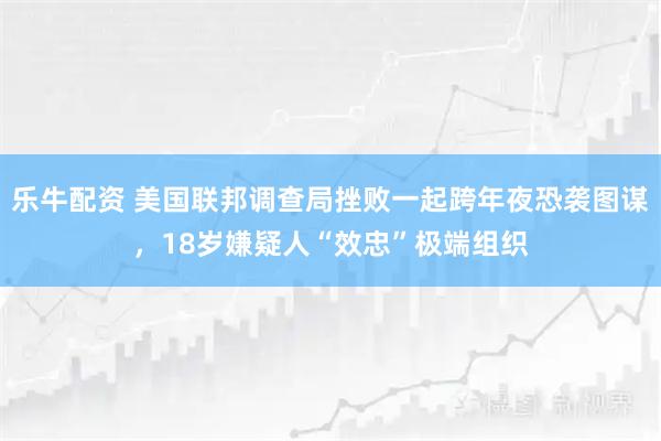 乐牛配资 美国联邦调查局挫败一起跨年夜恐袭图谋，18岁嫌疑人“效忠”极端组织