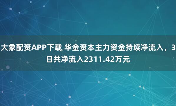 大象配资APP下载 华金资本主力资金持续净流入，3日共净流入2311.42万元